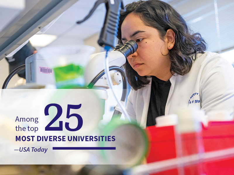 Top 25 Most Diverse Universities 