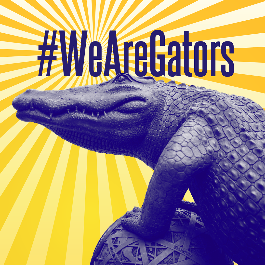 IG We are gators banner