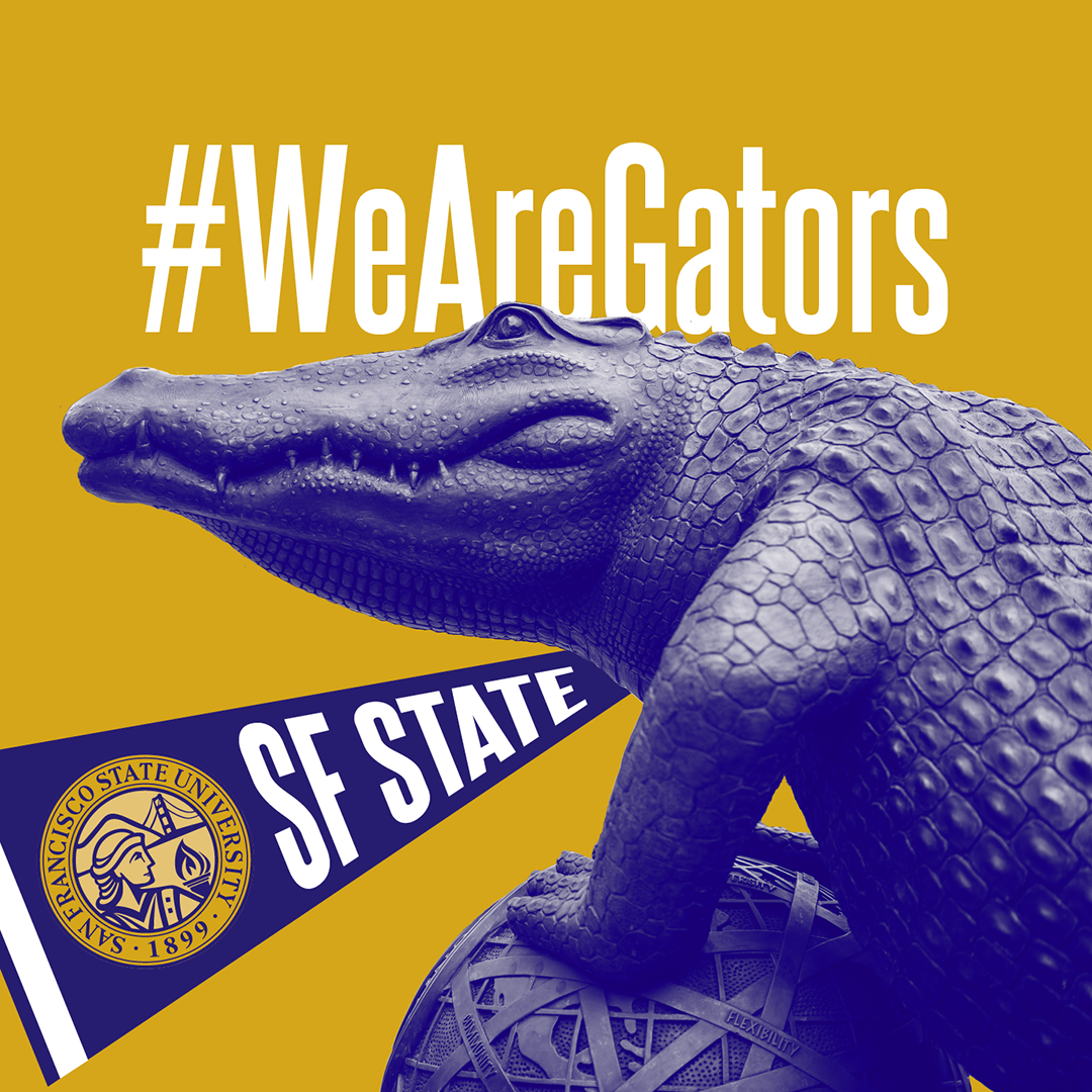 IG SFSU We are gators banner solid yellow background
