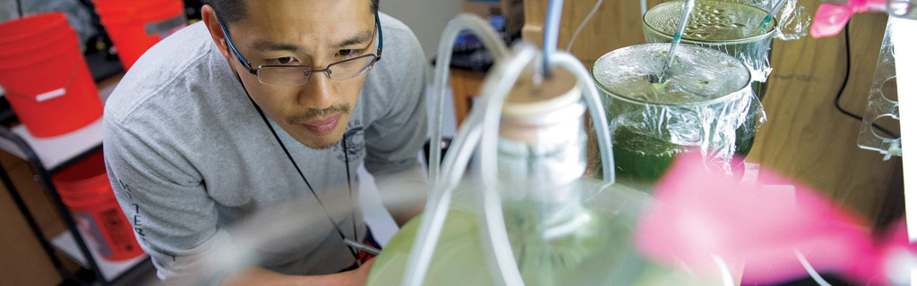 Student studying experiment chemistry beakers