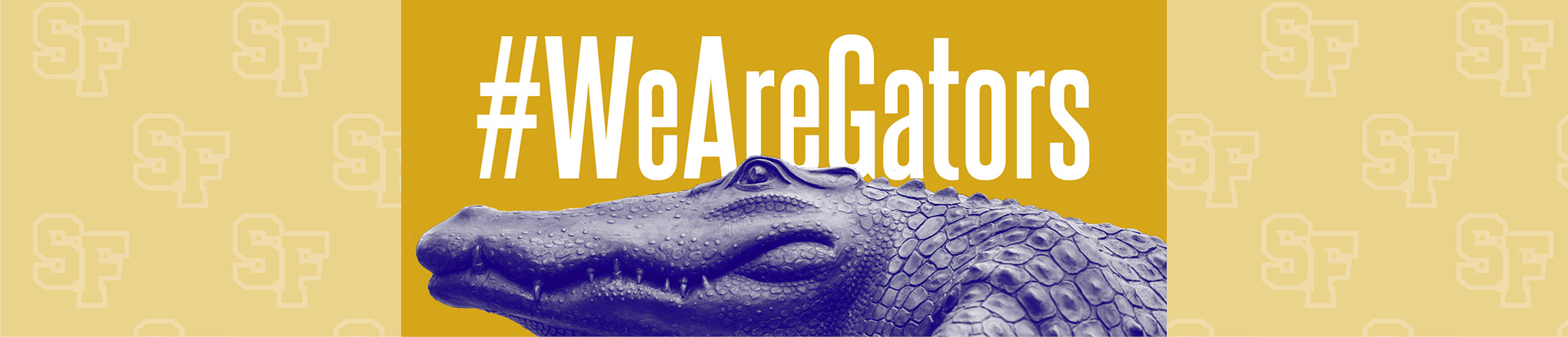 We are Gators Banner
