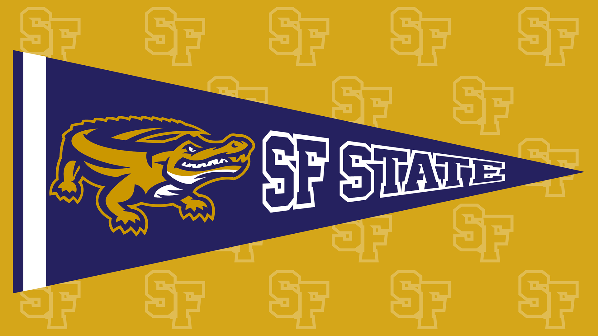 Zoom SF State flag horizontal 
