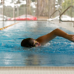SF State student swimming in the Natatorium lap pool.